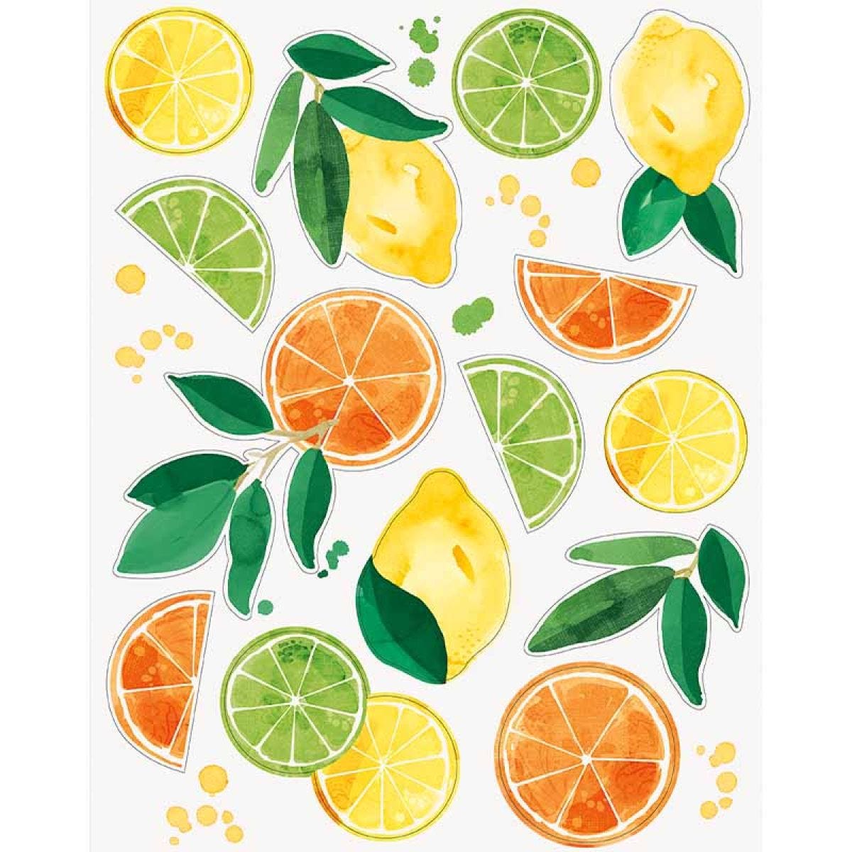 Citrus Fruit Window Cling Sheet