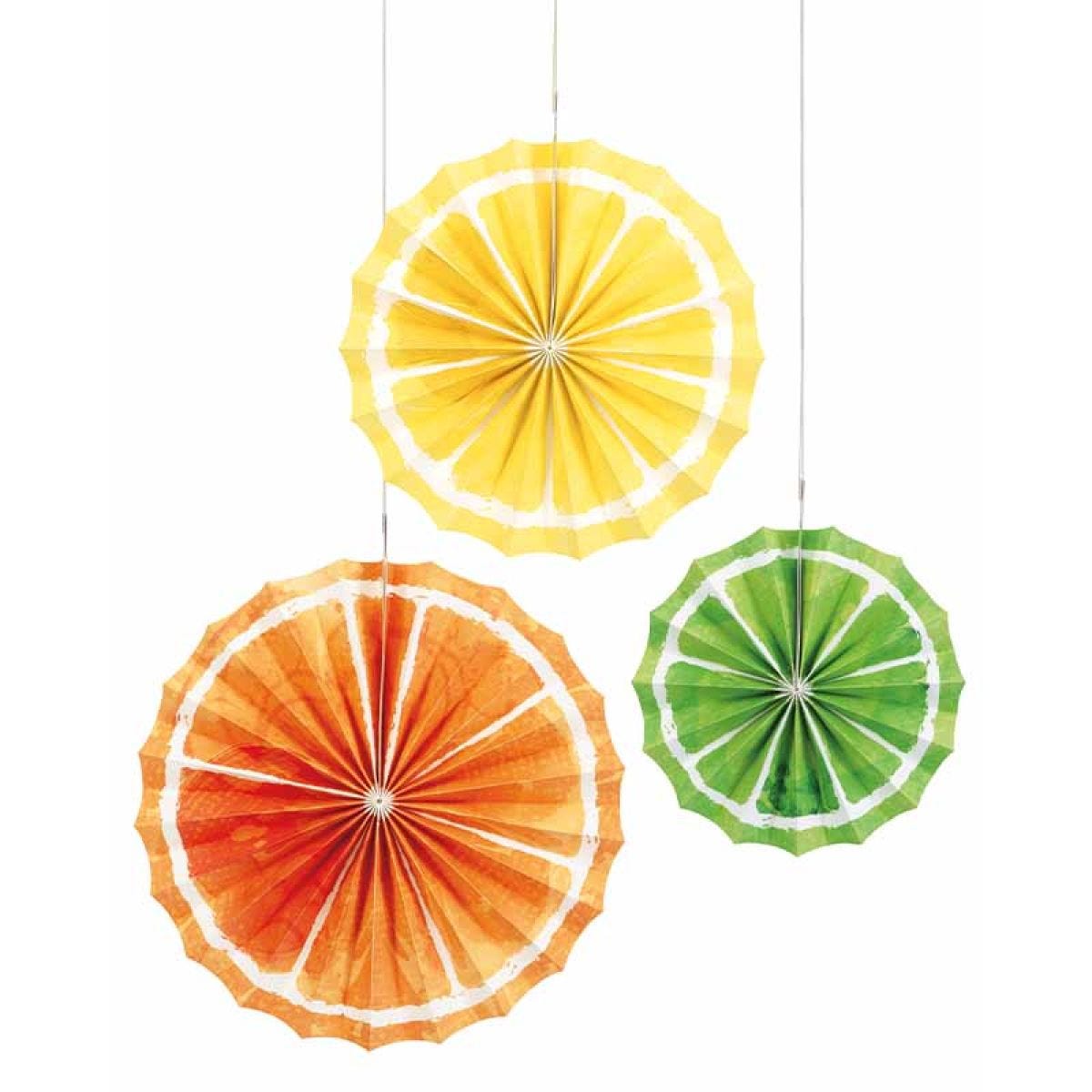 Citrus Fruit Tissue Paper Fans (3pk)