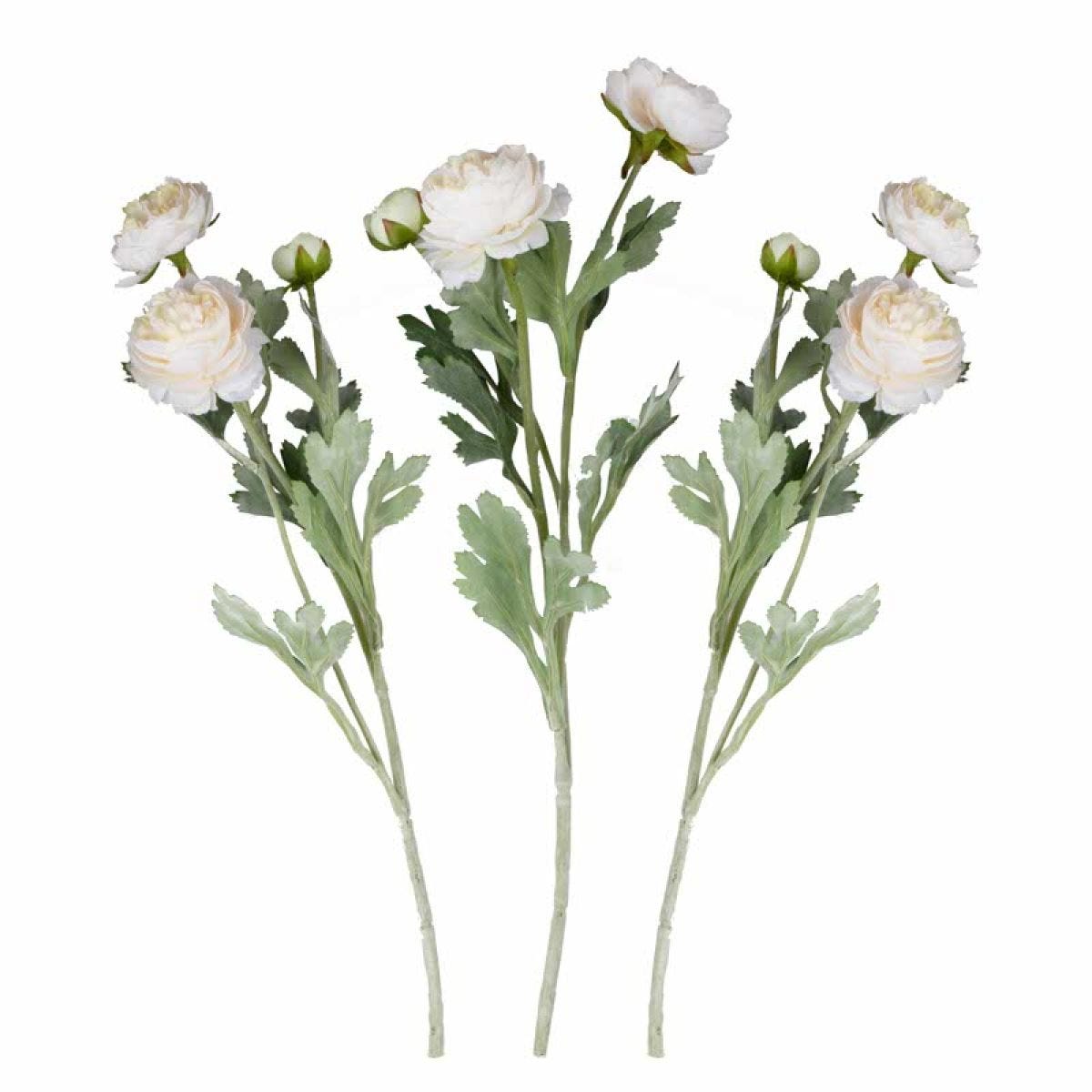 Ranunculus Foliage Stems (3pk)