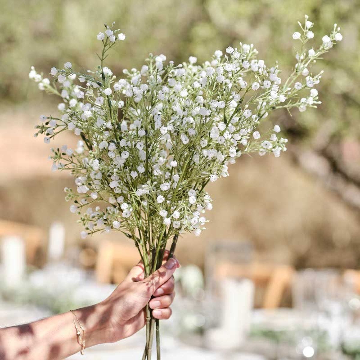Gypsophilia Foliage Stems (5pk)