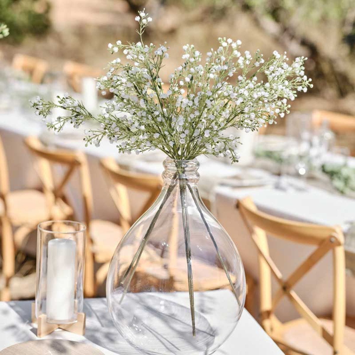 Gypsophilia Foliage Stems (5pk)