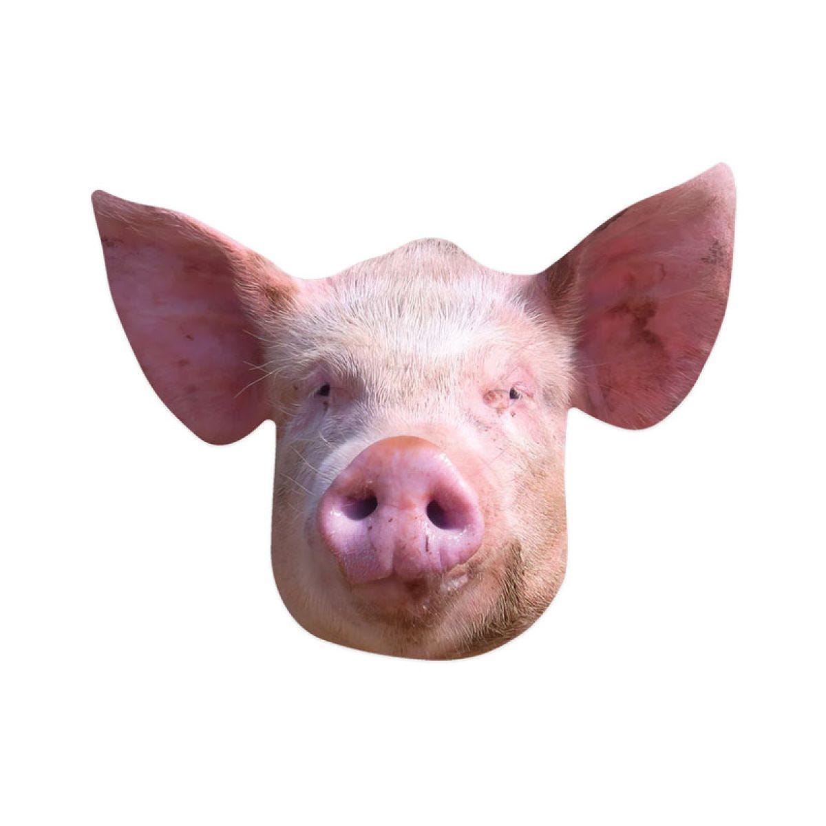 Pig Cardboard Mask
