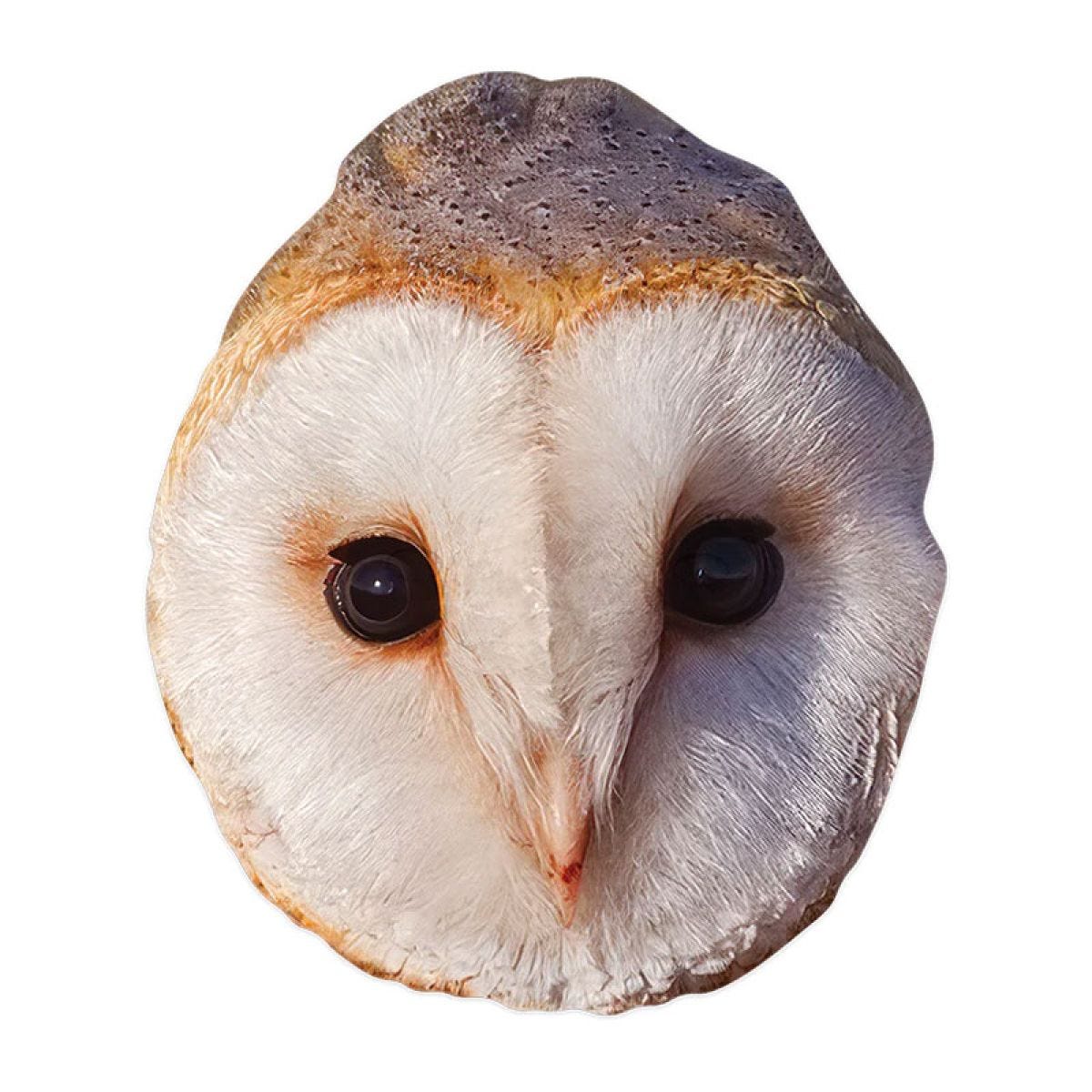 Owl Cardboard Mask