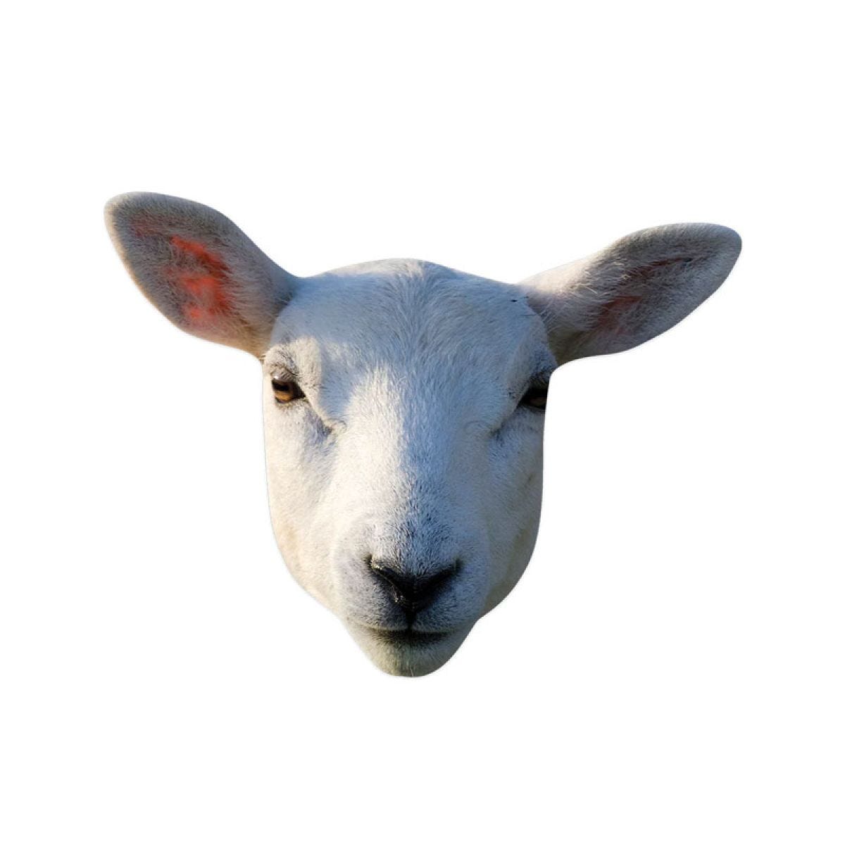 Sheep Cardboard Mask