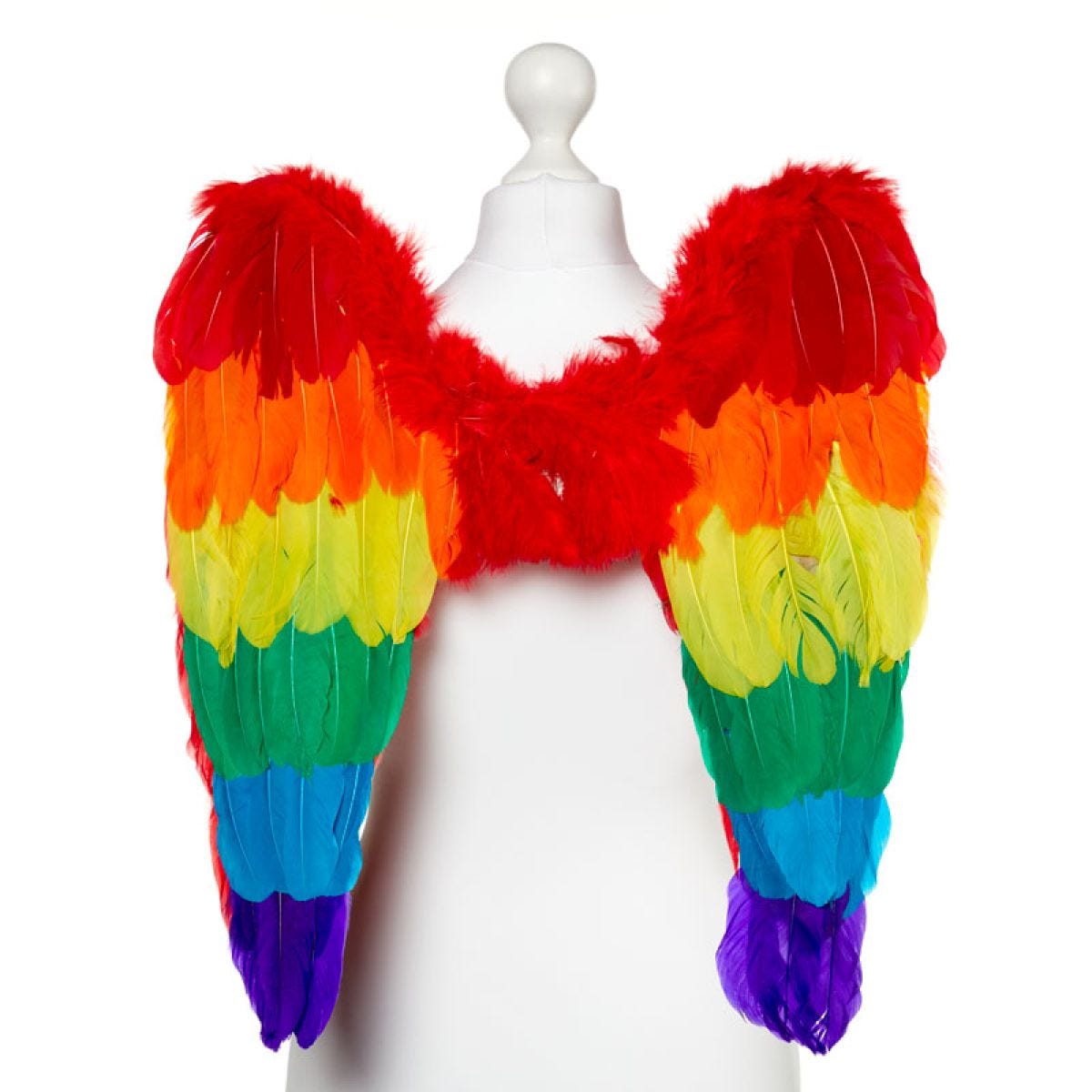 Rainbow Angel Wings