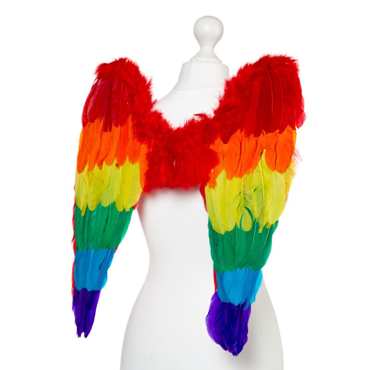 Rainbow Angel Wings