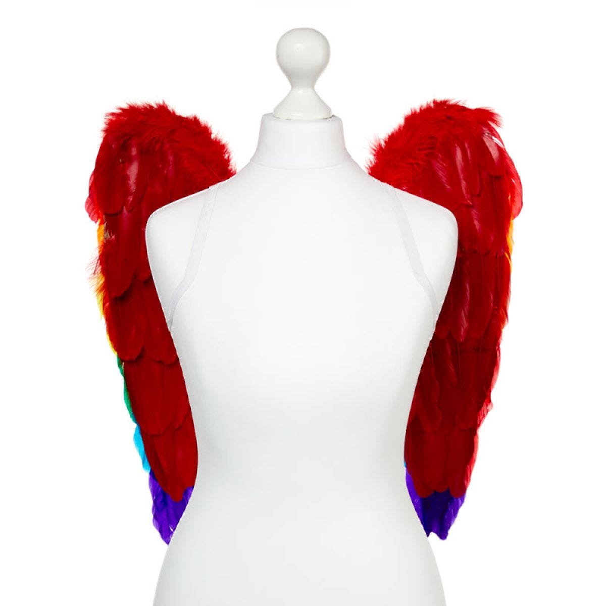 Rainbow Angel Wings