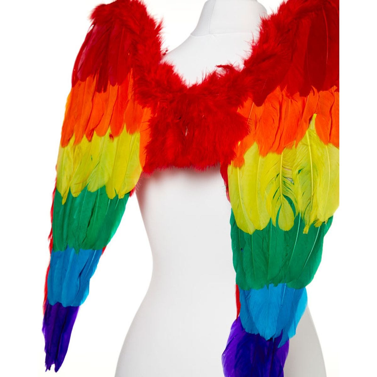 Rainbow Angel Wings