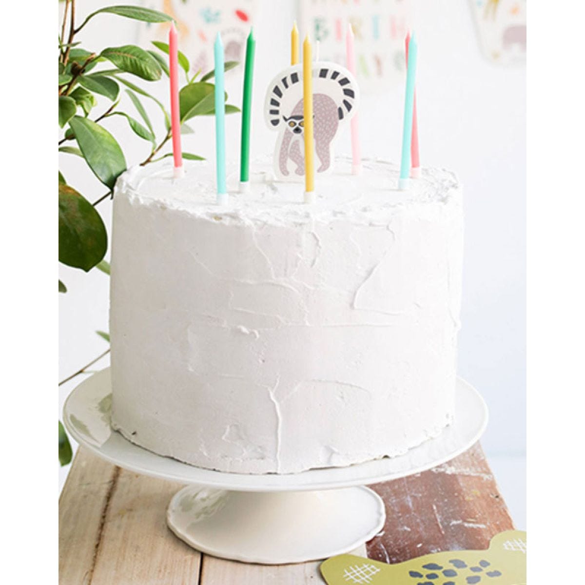 Zoo Party Candle Set (11pk)