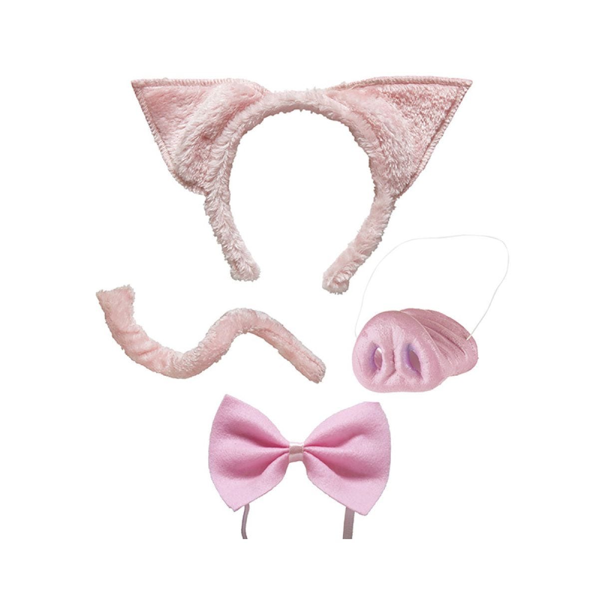 Pig Accessory Kit