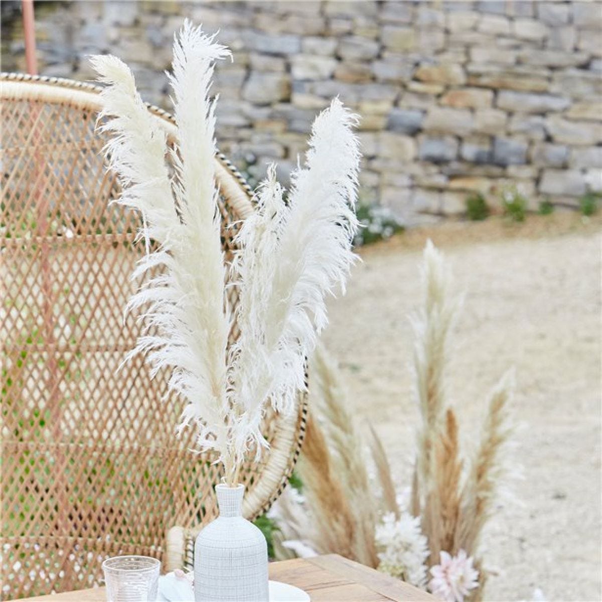 A Touch Of Pampas Bleached Pampas Grass (5pk)