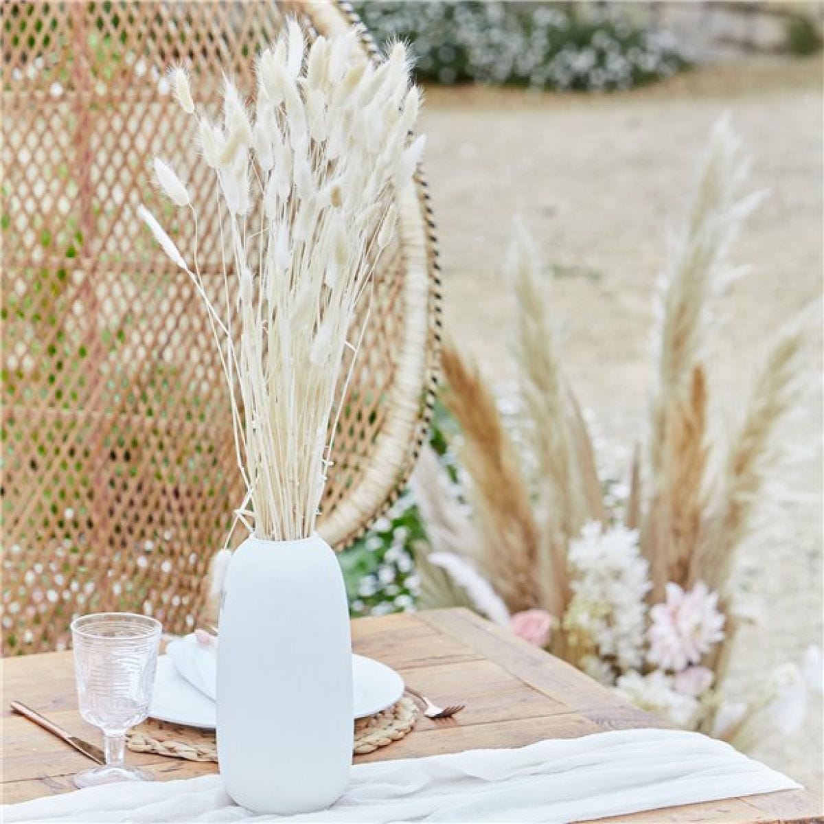 A Touch Of Pampas Off White Dried Bunny Tail Grass (20pk)