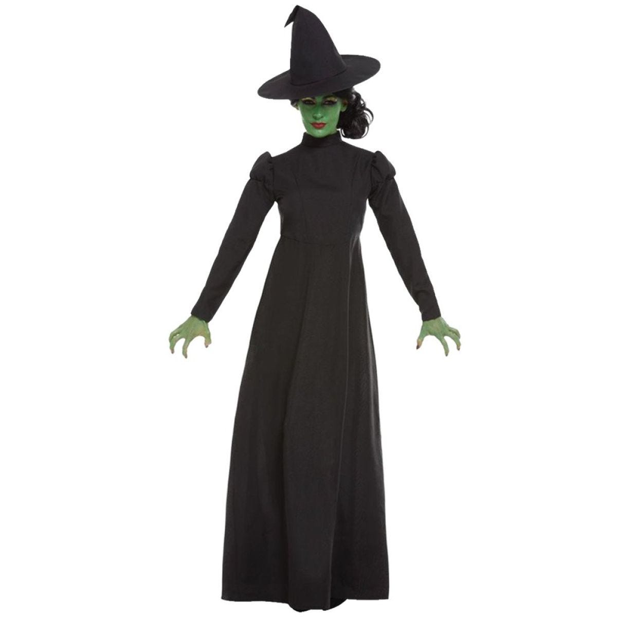 Wicked Witch - Adult Costume