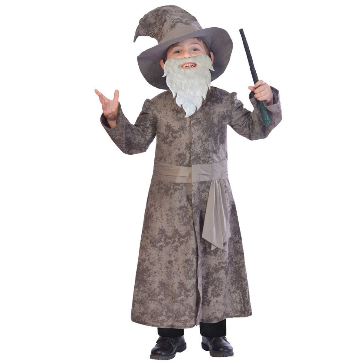 Wise Wizard - Child Costume