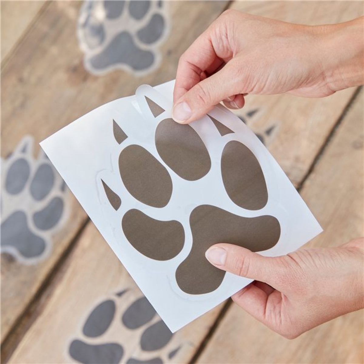 Let&apos;s Go Wild Animal Pawprint Floor Stickers (6pk)