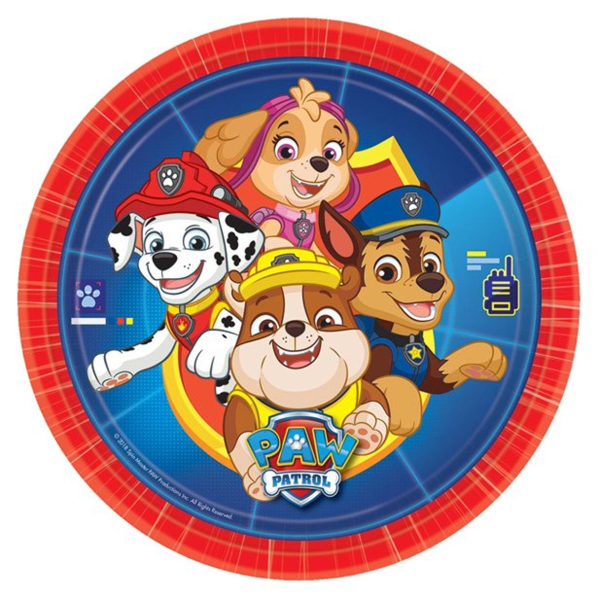 Paw Patrol Party in a Box