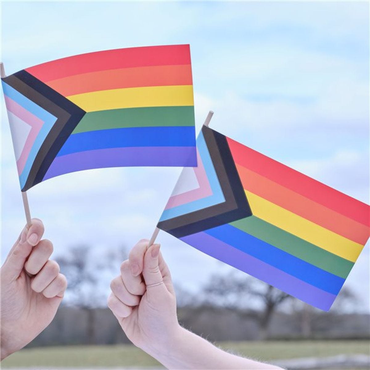 Progress Pride Handwaving Flag (5pk)