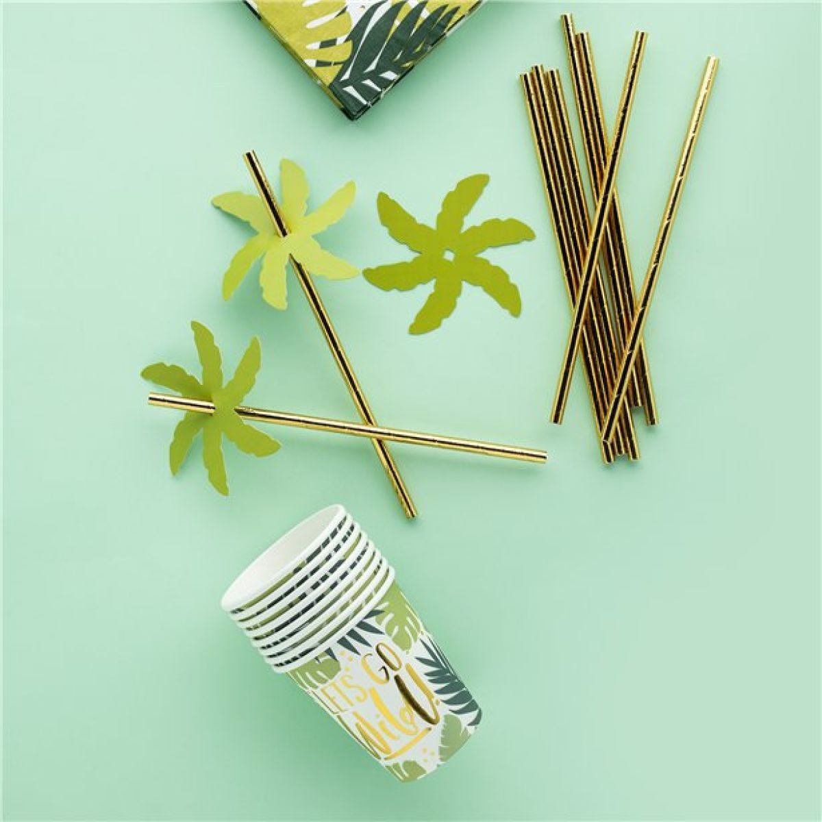 Palm Leaf Paper Straws (24pk)