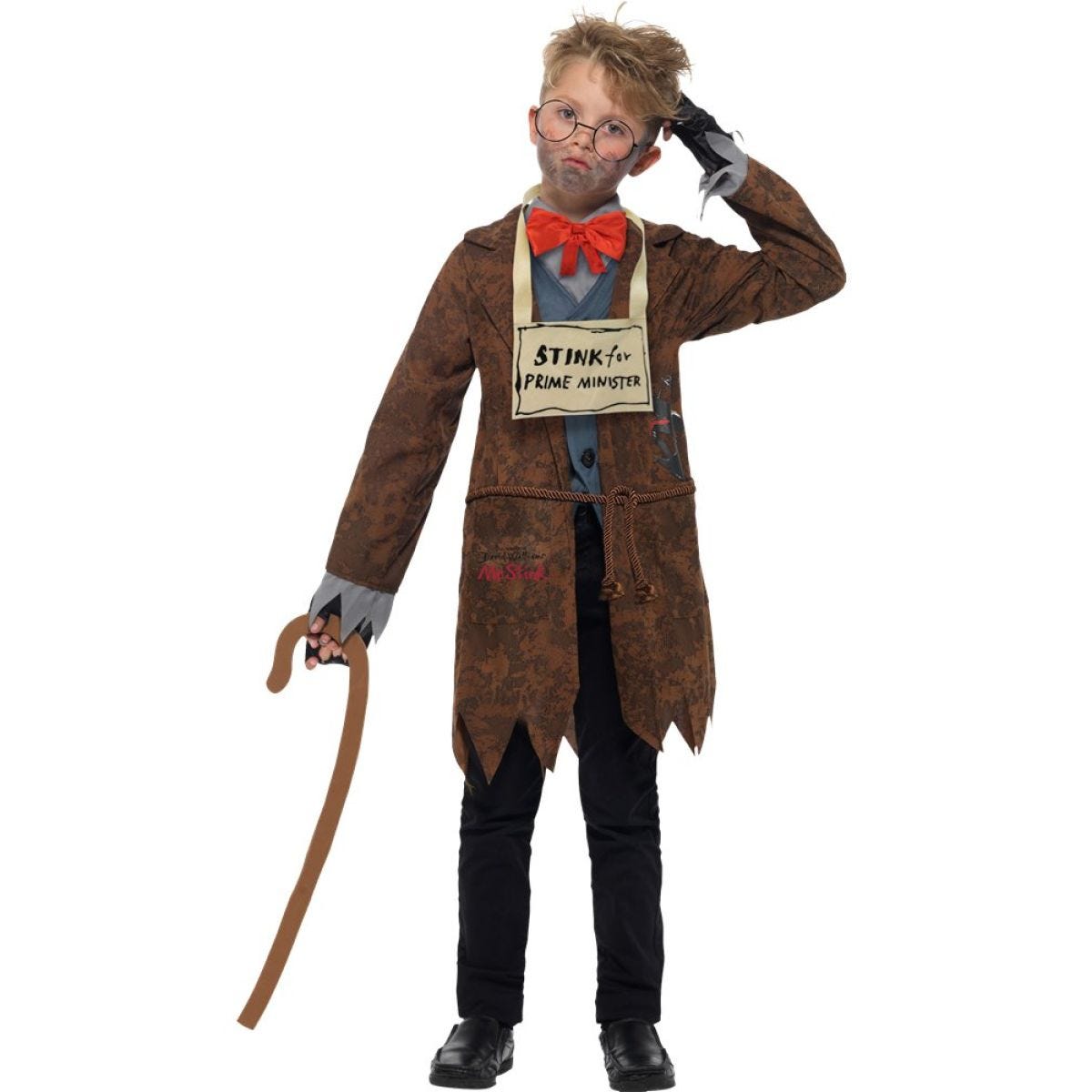 David Walliams Mr Stink - Child and Teen Costume