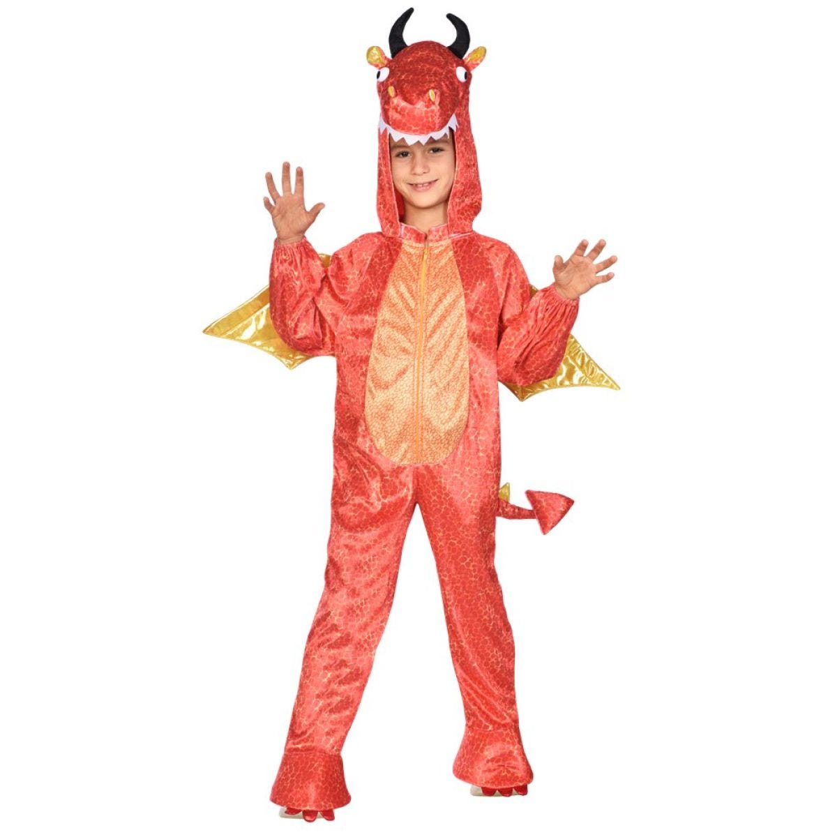 Fire Dragon - Child and Teen Costume