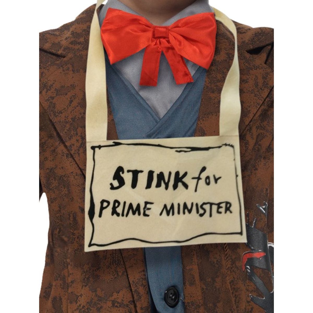 David Walliams Mr Stink - Child and Teen Costume