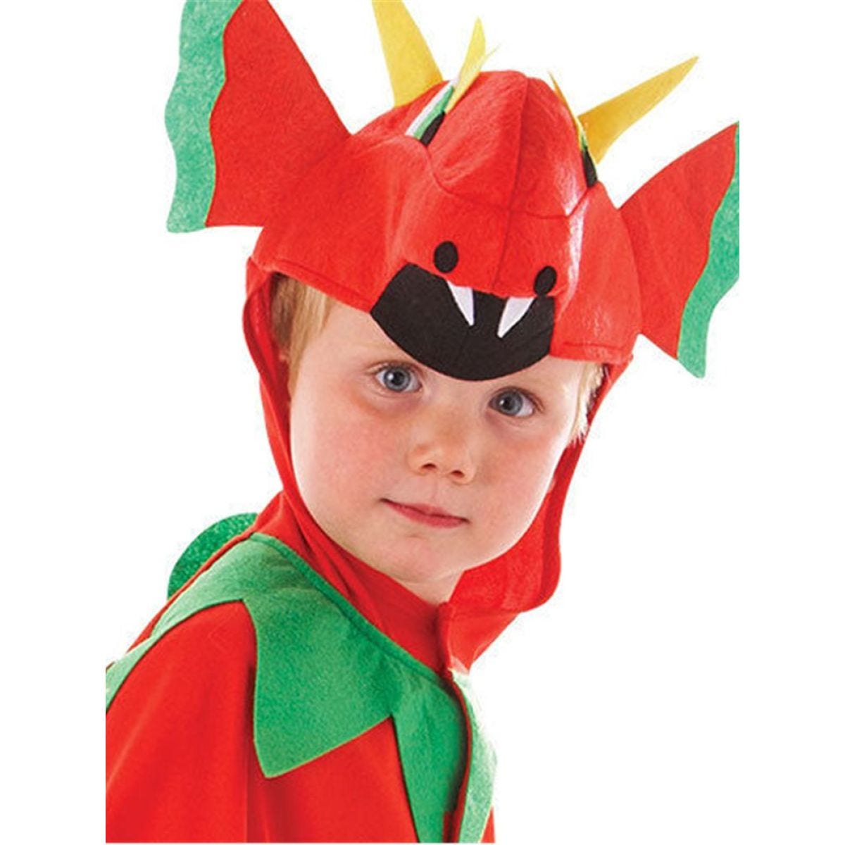 Friendly Dragon - Child Costume