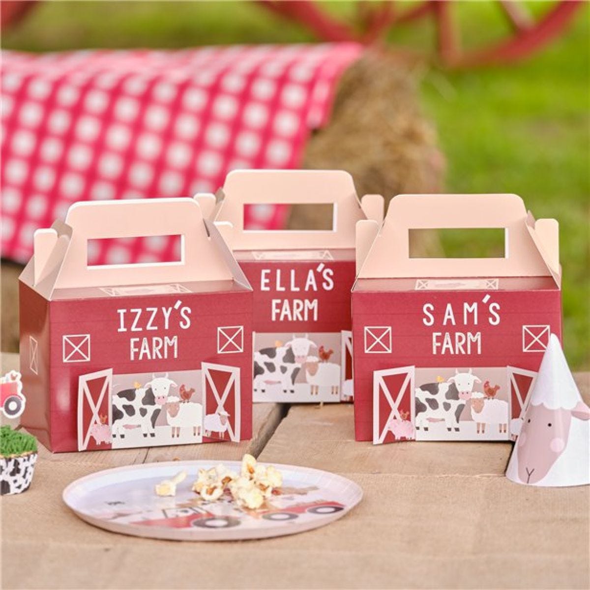 Farm Friends Customisable Barn Party Boxes