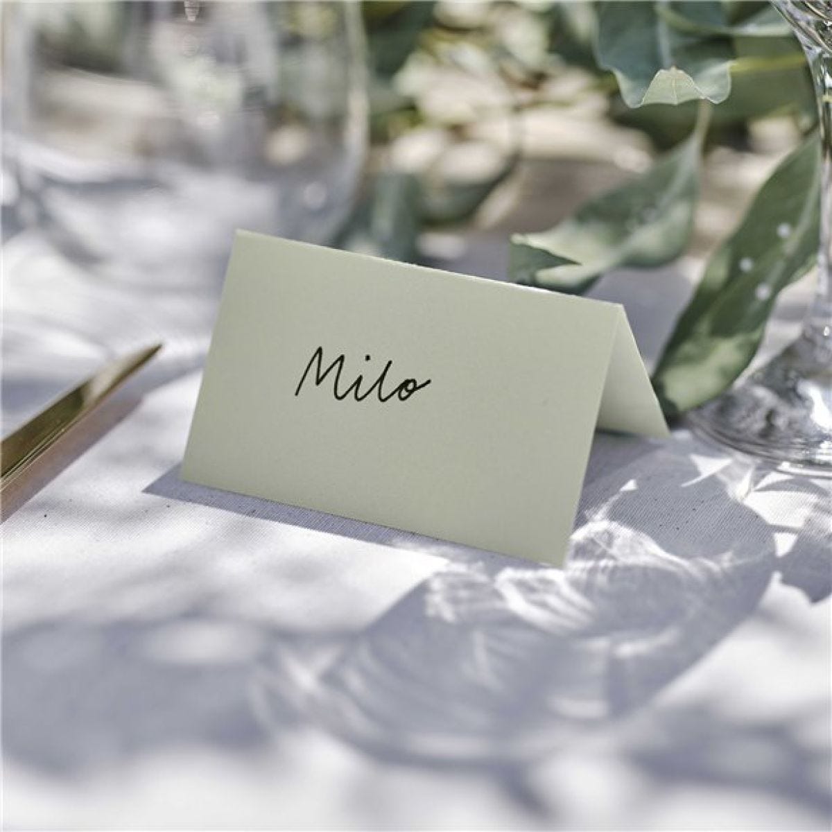 Secret Garden Sage Wedding Place Cards