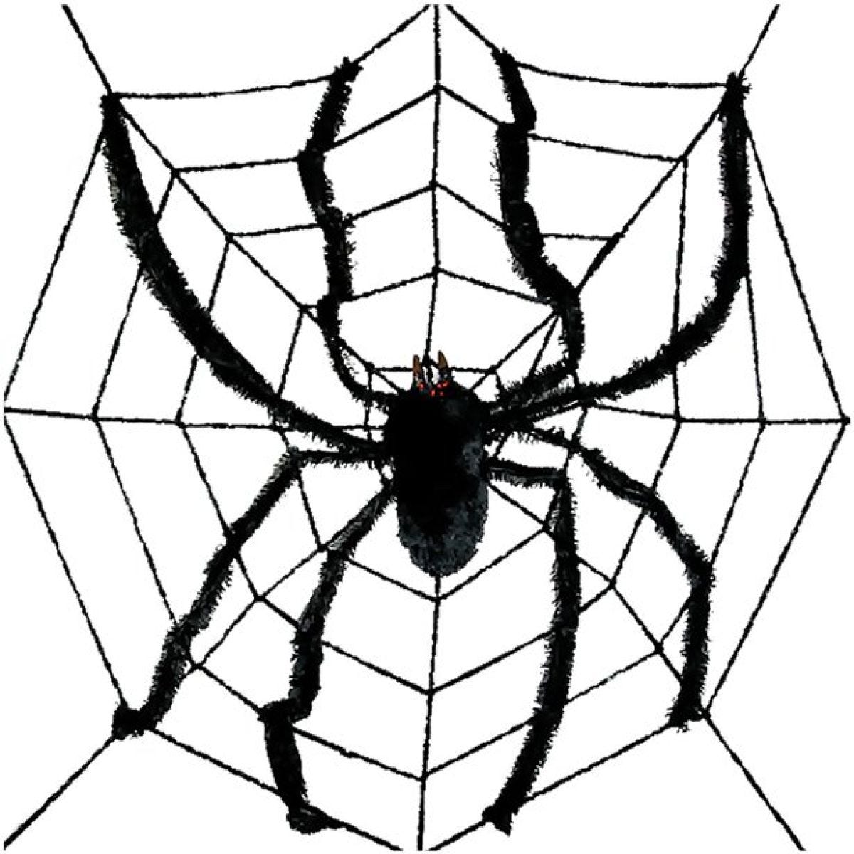 Large Spider Web & Spider - 2.4m
