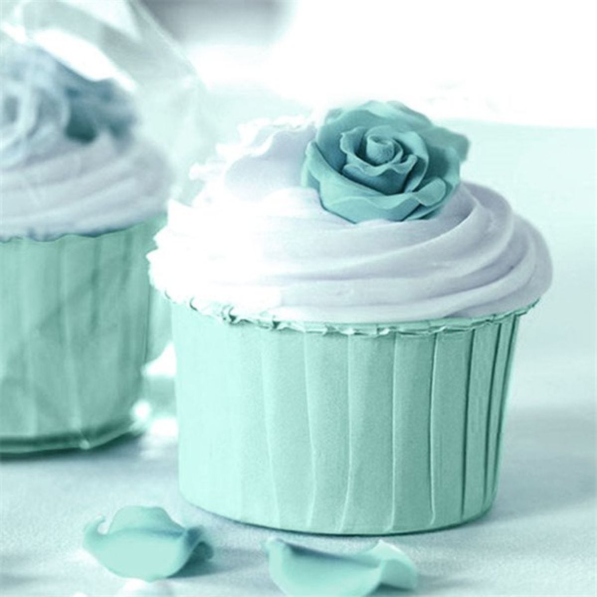 Aqua Blue Baking Cups (24pk)