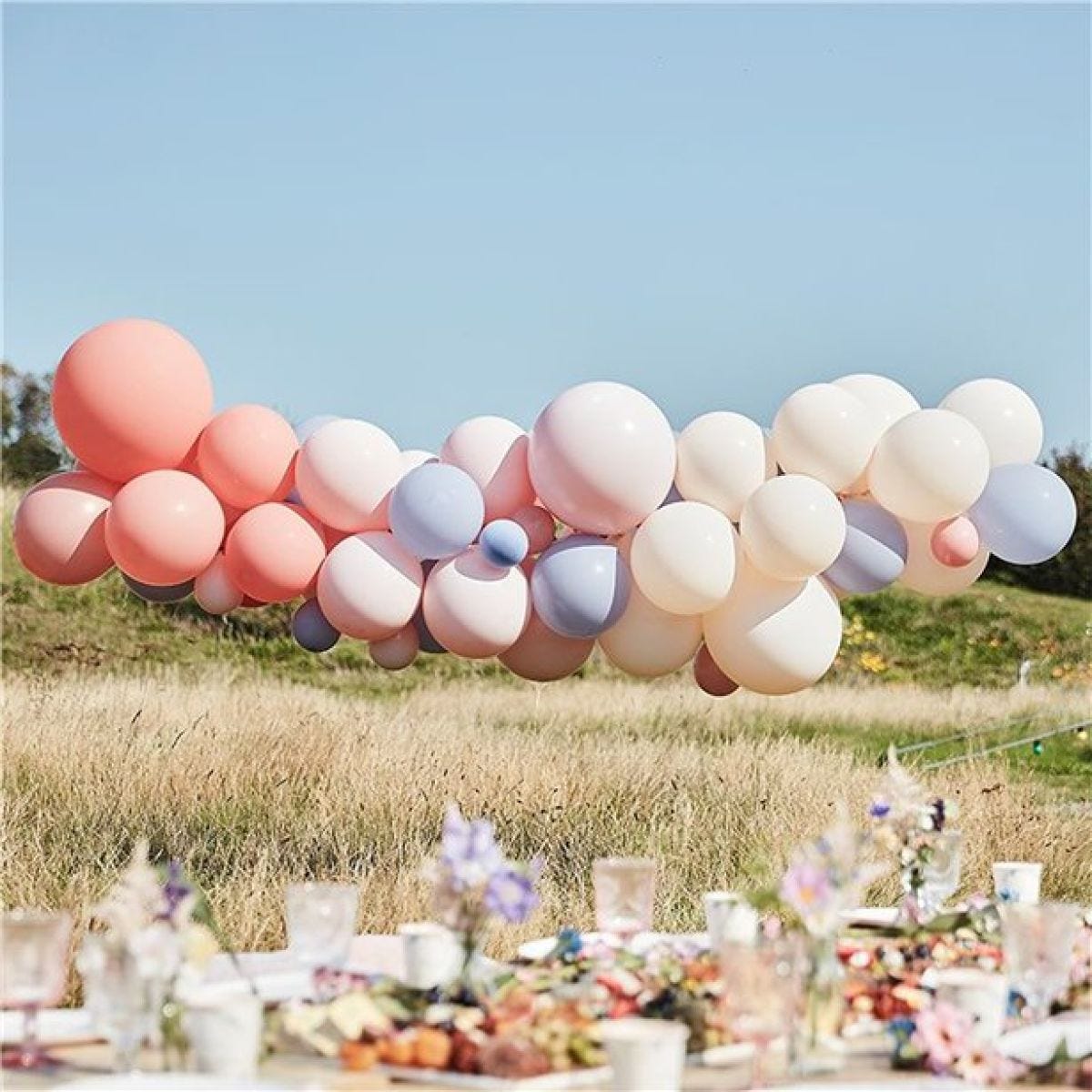 Blush, Nude & Blue Hen Party Balloon Arch Kit