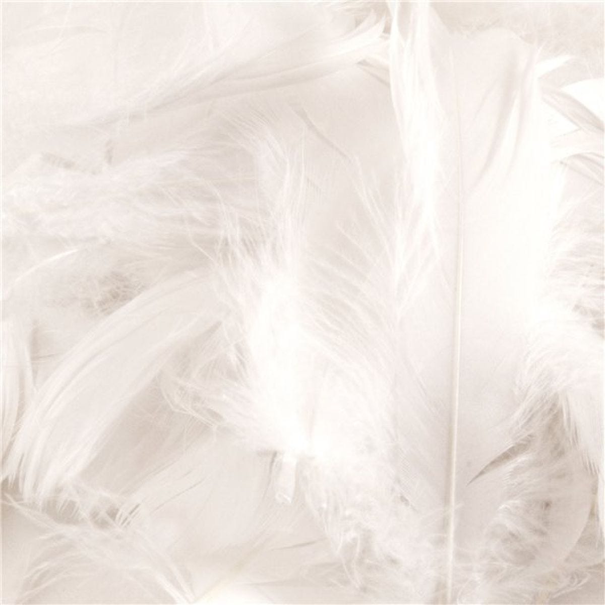 White Decorative Feathers - 50g