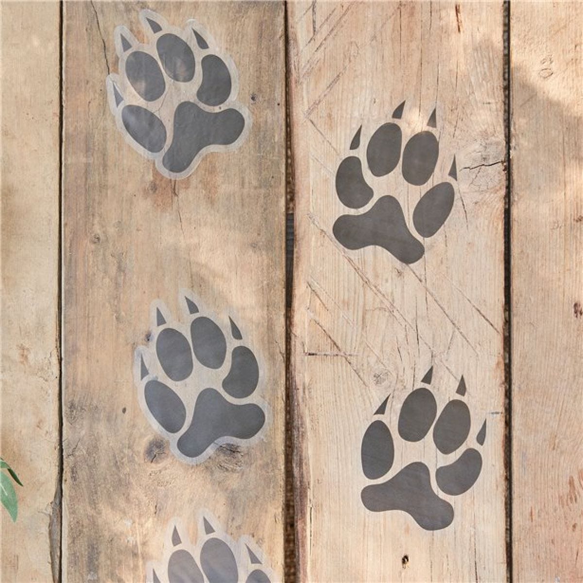 Let&apos;s Go Wild Animal Pawprint Floor Stickers (6pk)