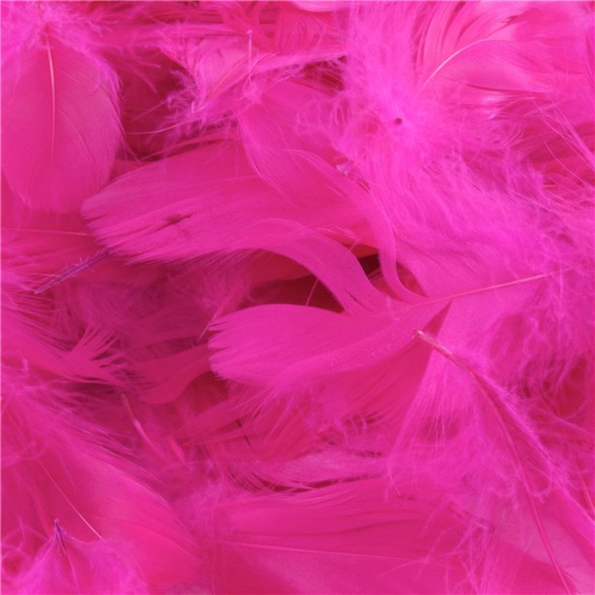 Hot Pink Decorative Feathers - 50g