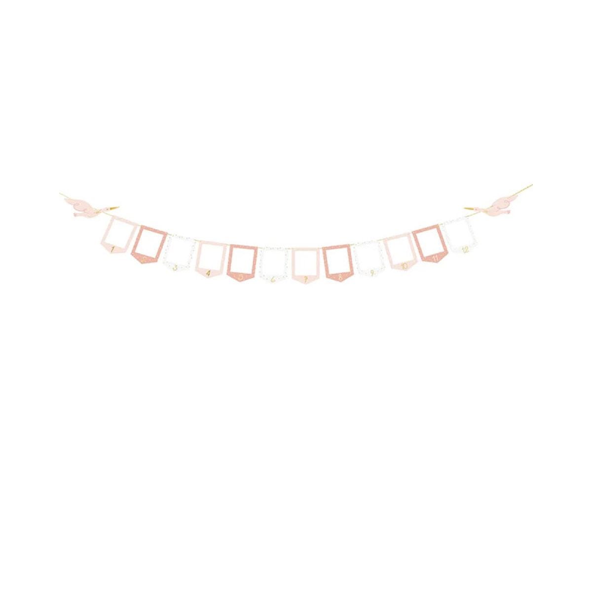Stork Frame Photo Garland - 2.5m