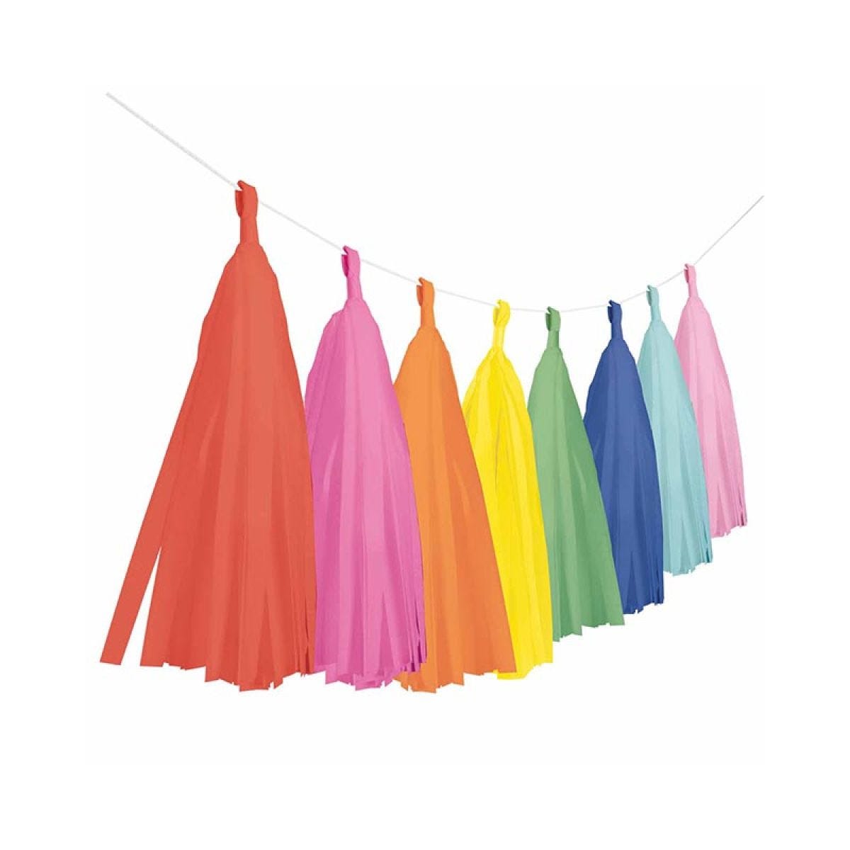 Multi Coloured Paper Tassel Garland - 6m