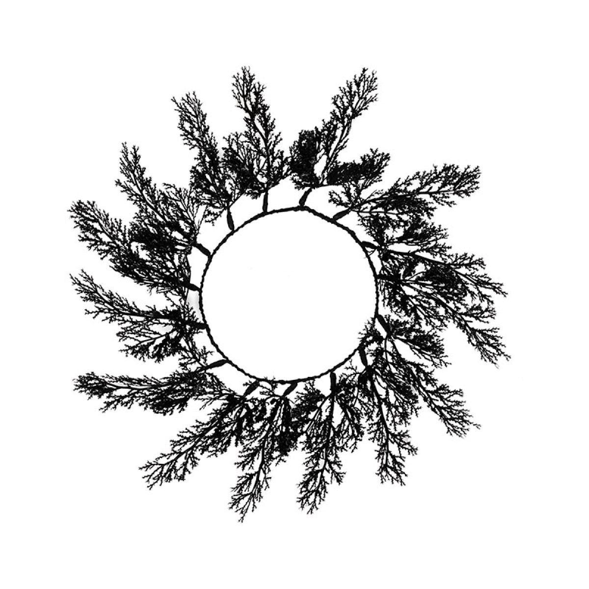 Black Foliage Placemats (4pk)