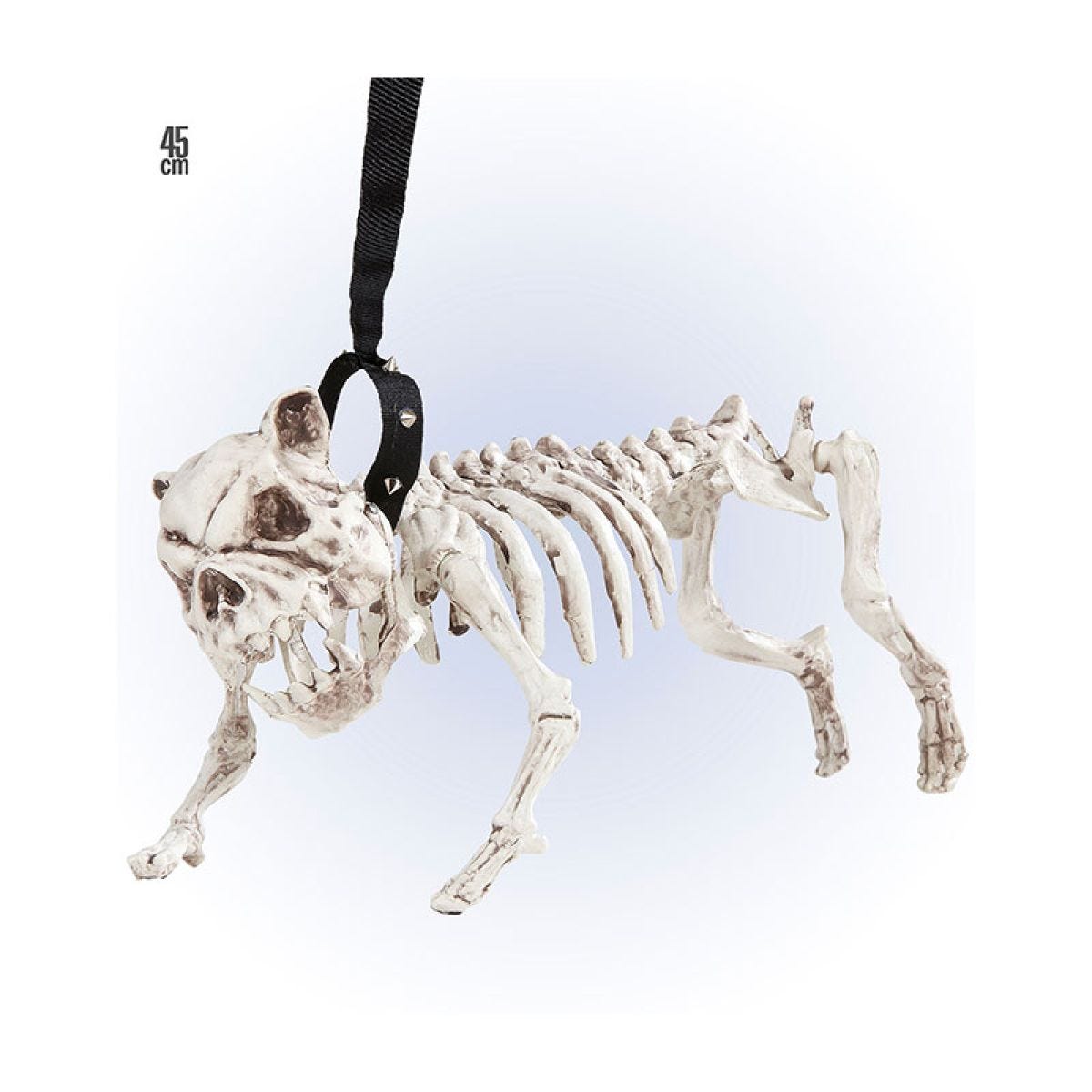 Skeleton Dog with Lead - 45cm