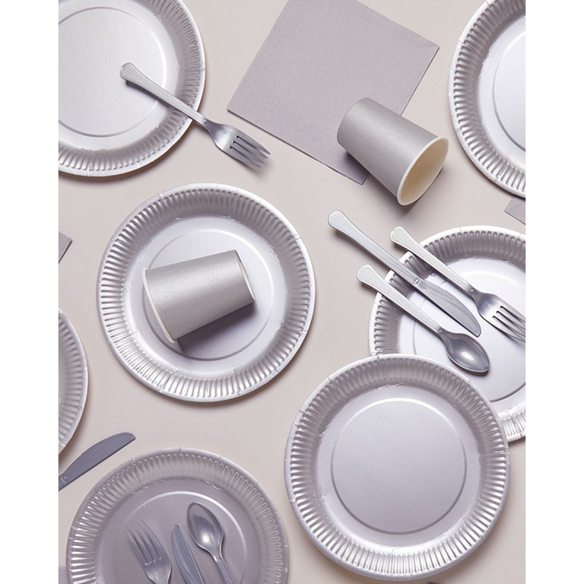 Silver Party Tableware