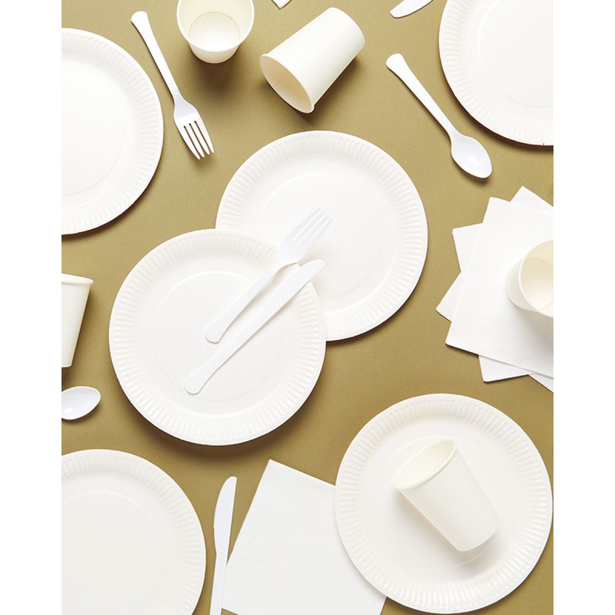 White Party Tableware