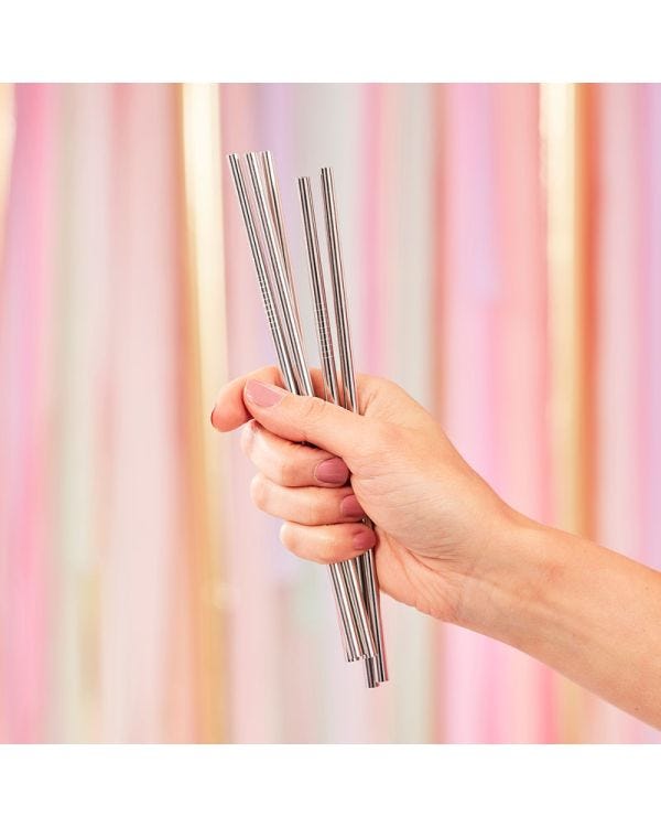 Silver Stainless Steel Straws (5pk)