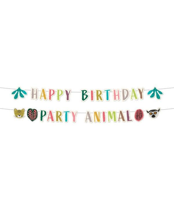 Zoo Party Paper Letter Banners  (2pk)