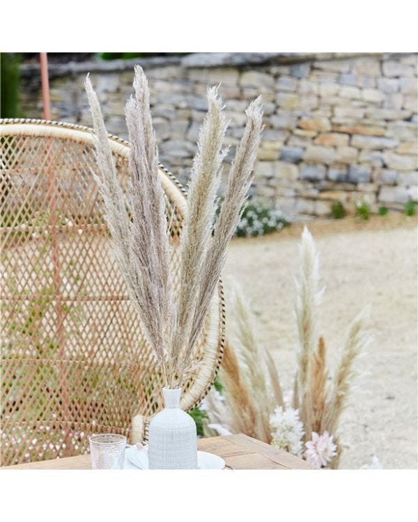 A Touch Of Pampas Natural Pampas Grass (5pk)