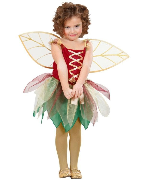 Fantasy Fairy - Toddler and Child Costume