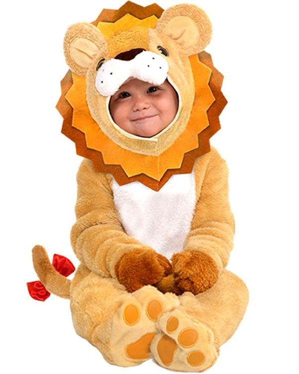 Little Roar - Baby and Toddler Costume