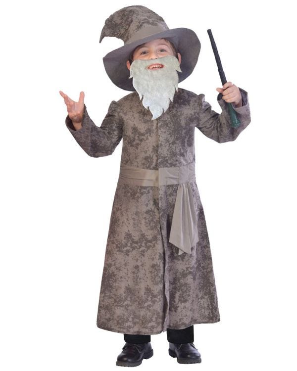 Wise Wizard - Child Costume