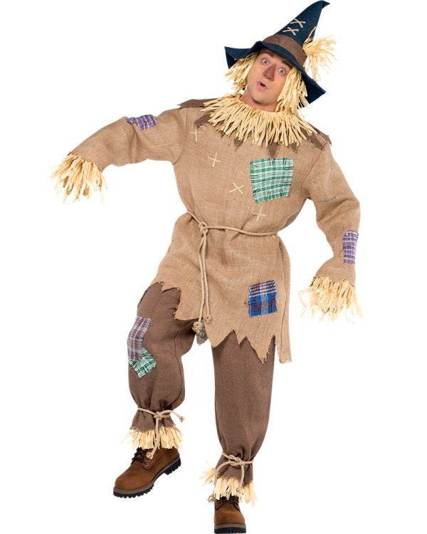 Mr Scarecrow - Adult Costume