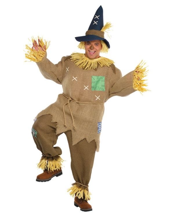 Mr Scarecrow Plus - Adult Costume