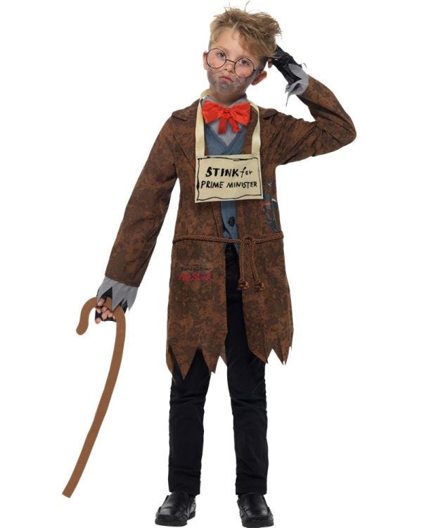 David Walliams Mr Stink - Child and Teen Costume