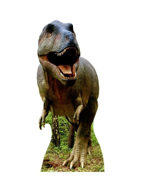 Giant T-Rex Cardboard Cutout - 186cm x 81cm
